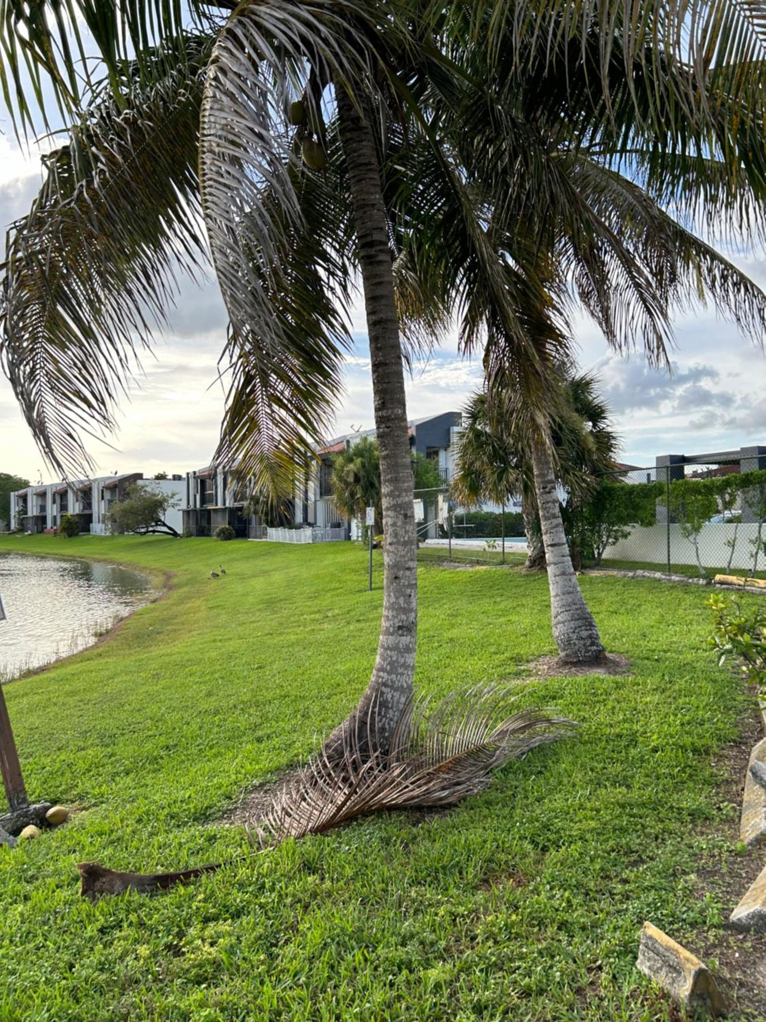 Beautiful Apartment With Very Elegant Colonial Decoration Tamiami Esterno foto